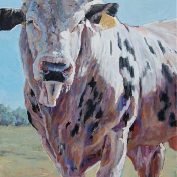 Heather Foster - A Bull Named Boo