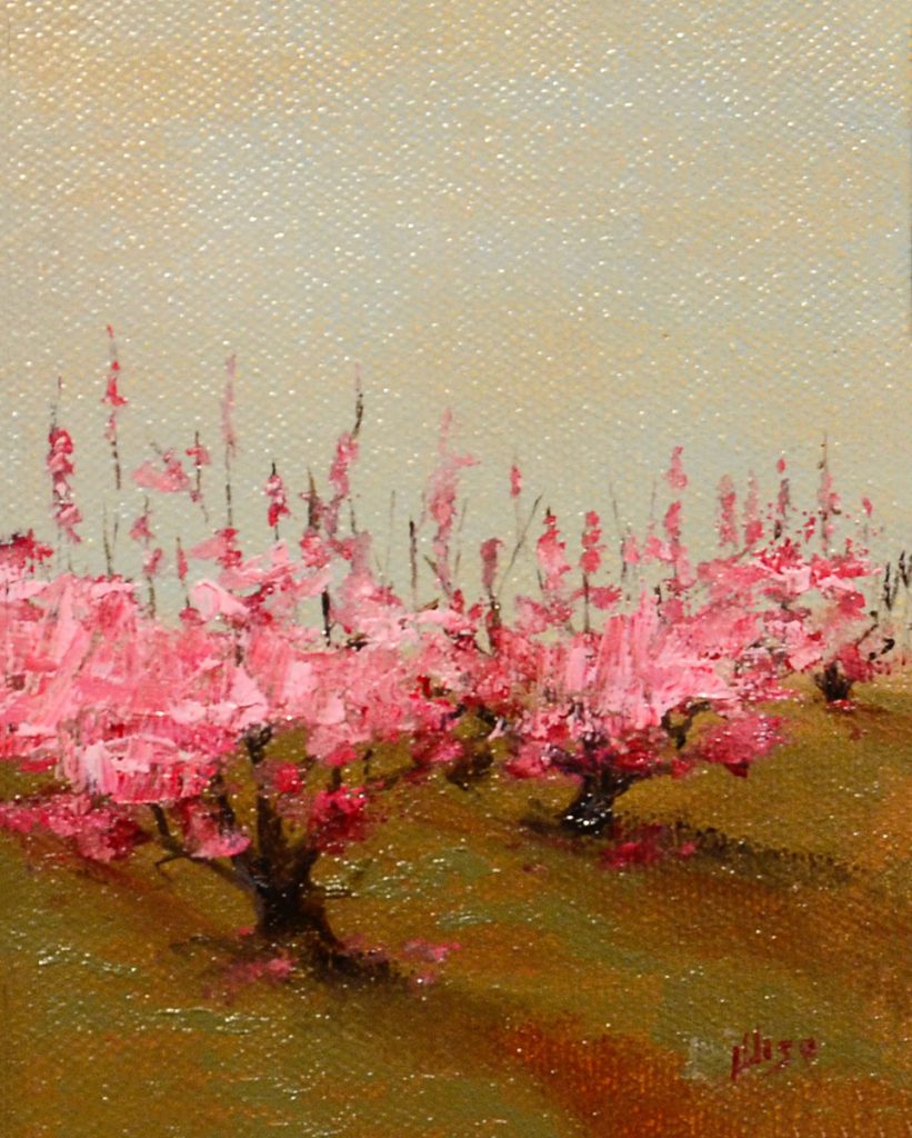 Marie Figge Wise - Peach Profusion