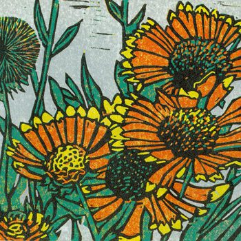 Sherrie York - Blanket Flowers