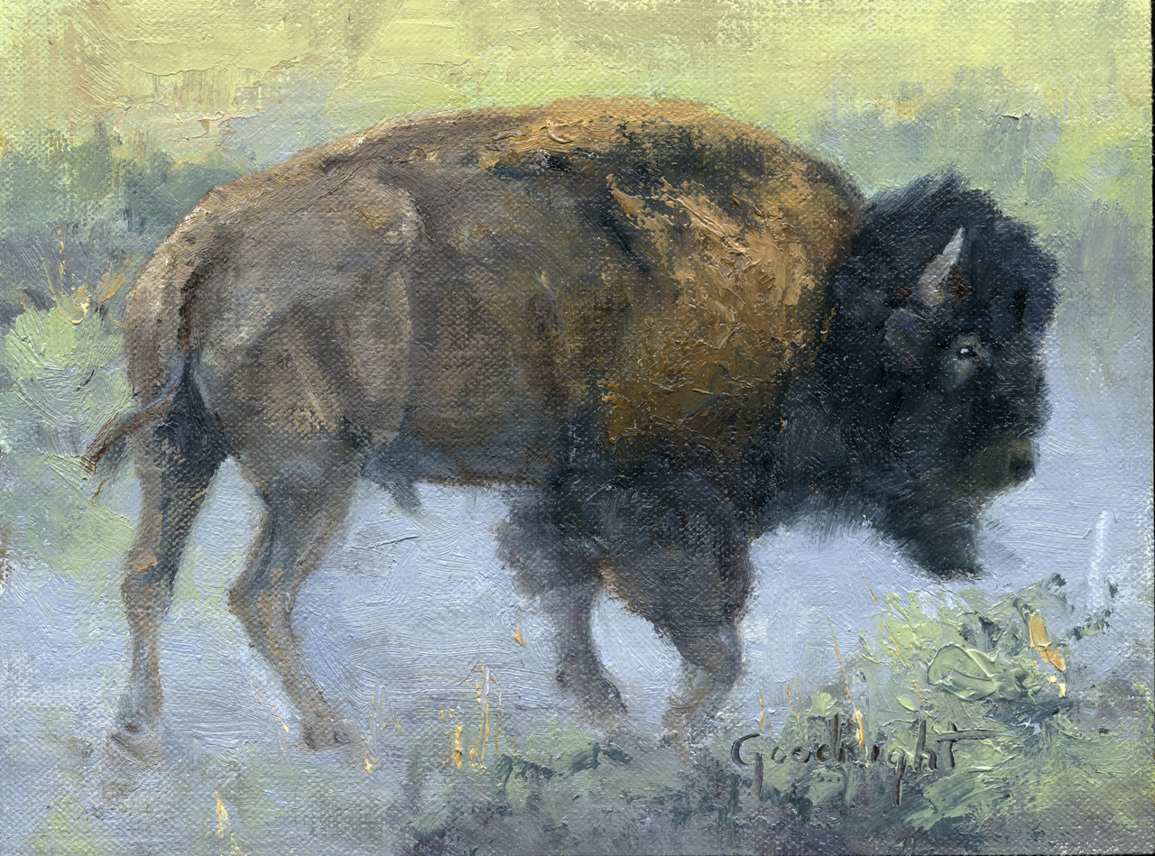 Veryl Goodnight - Bull Bison in Dust