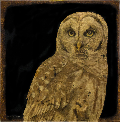 Mike Weber - Owl, 2017