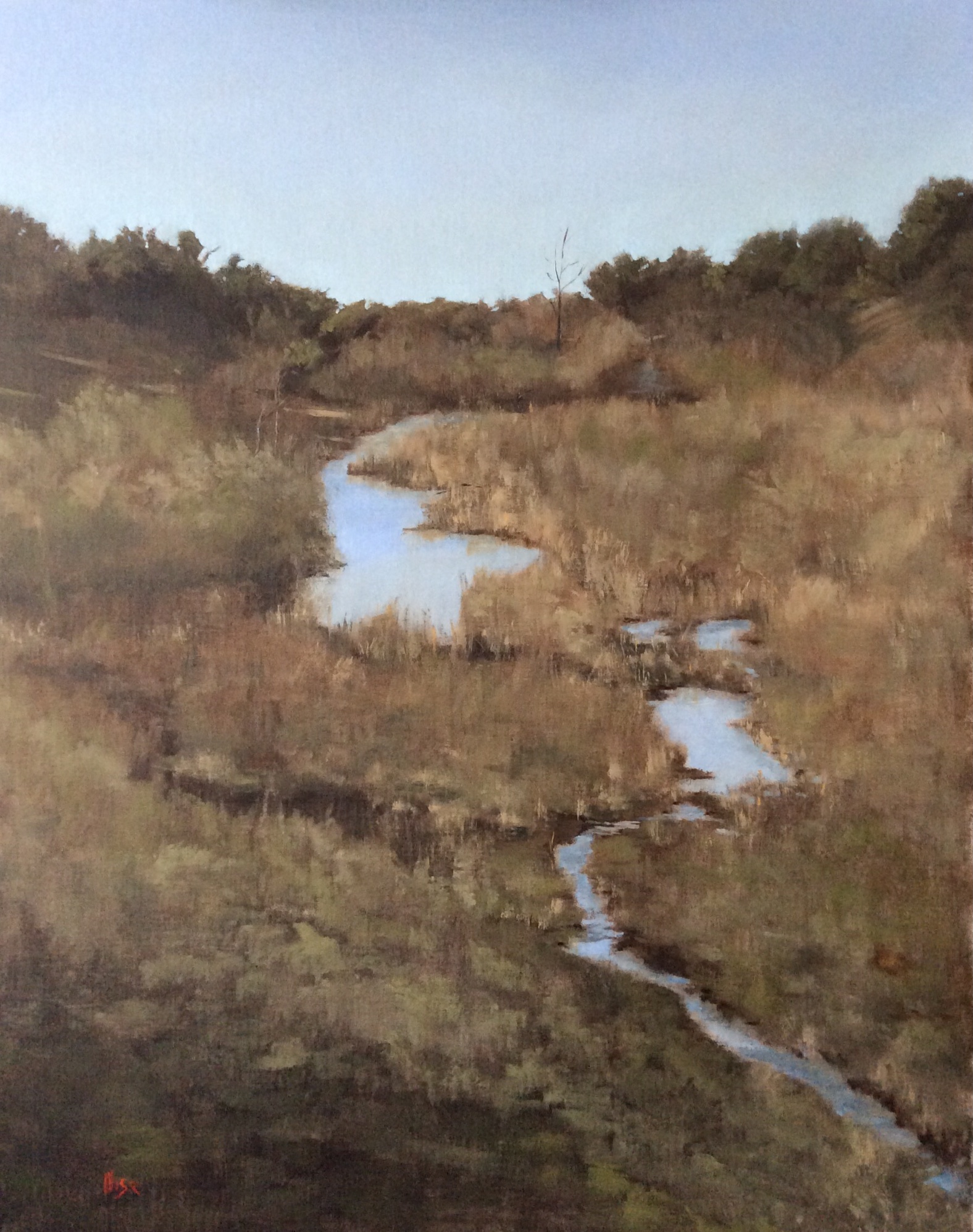 Marie Figge Wise - Palo Alto Creek