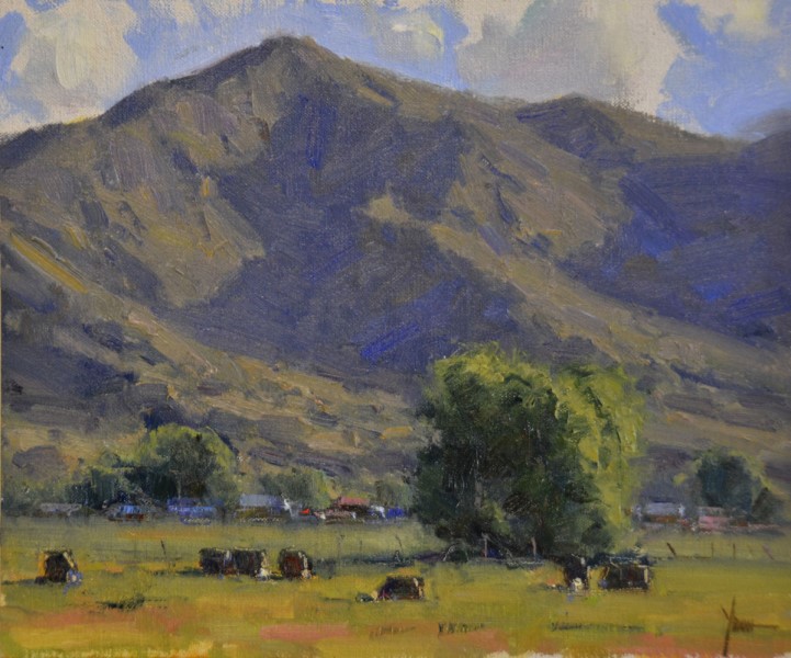 Dan Young - Summer Grazers