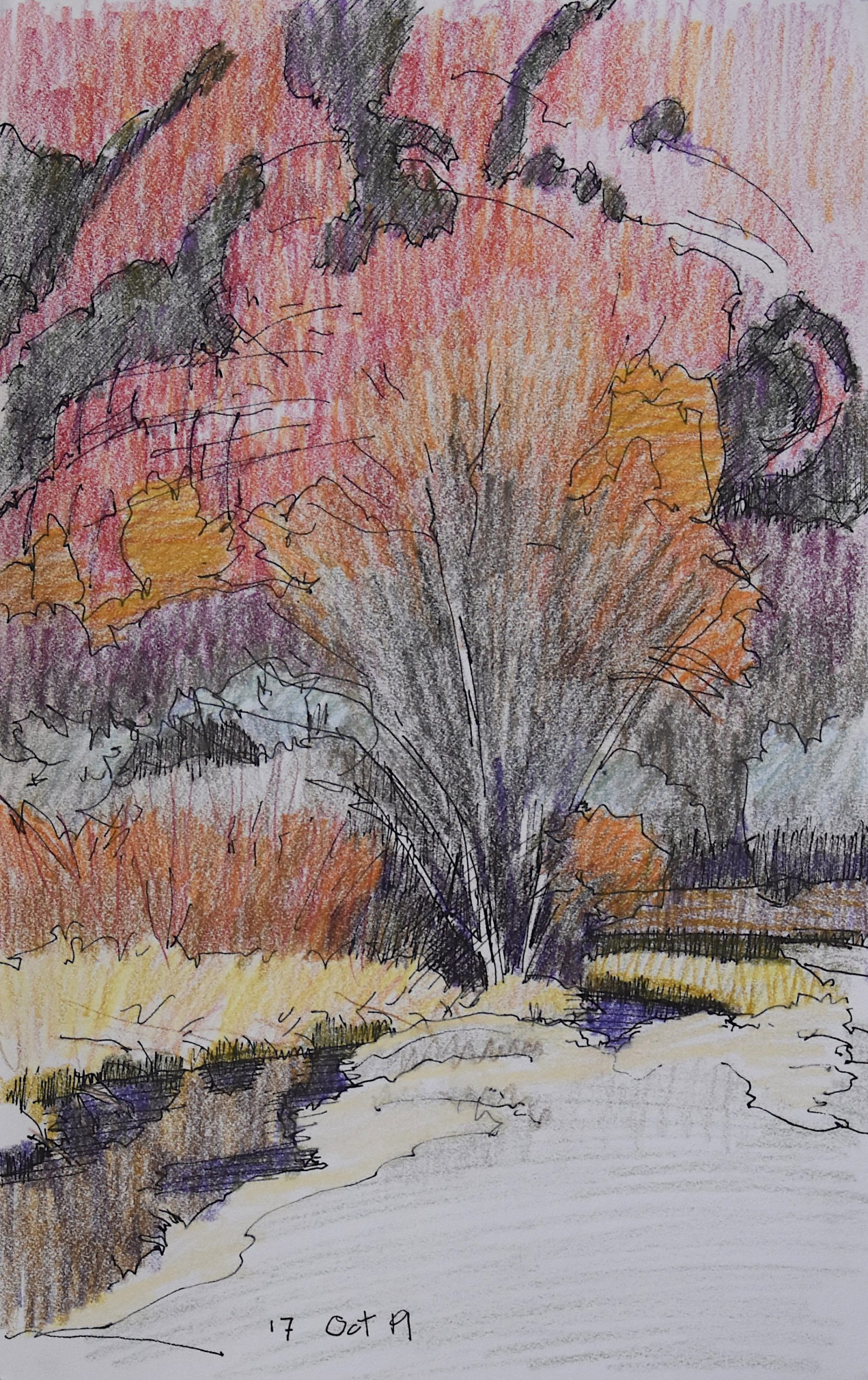 Andy Taylor - 17 Oct 19 - vertical