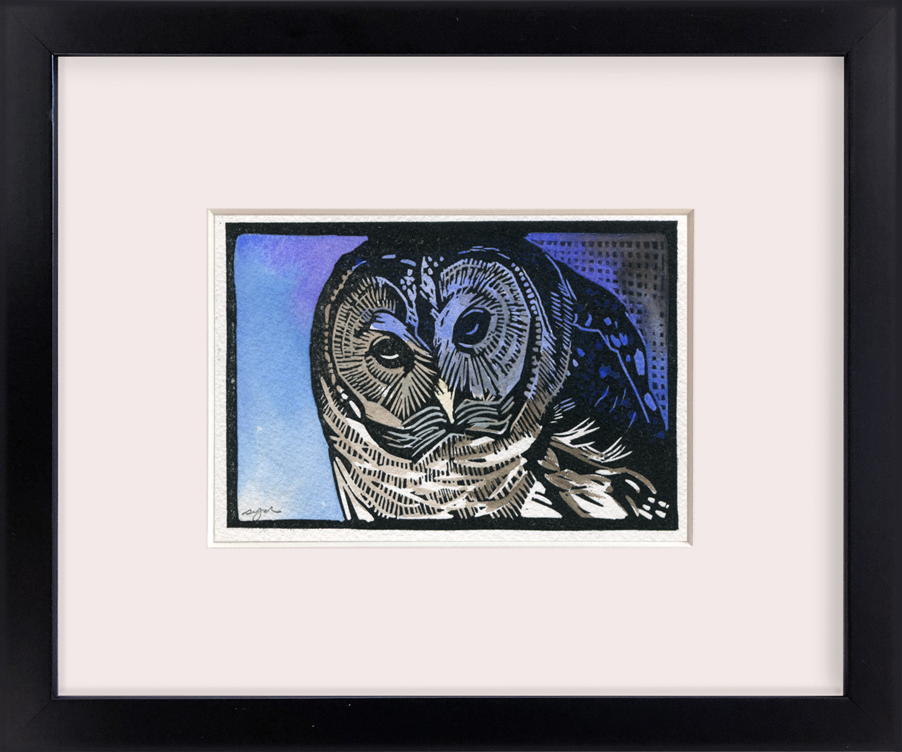 Sherrie York - Barred Owl