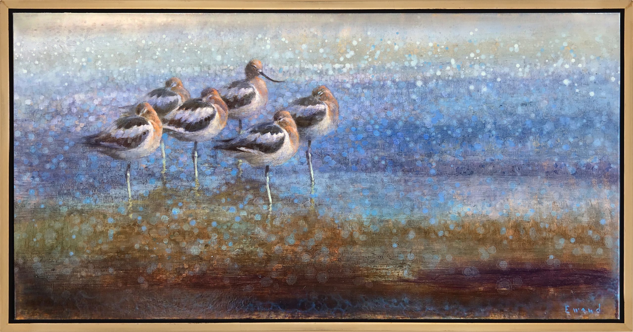 Ewoud de Groot - Resting Avocets