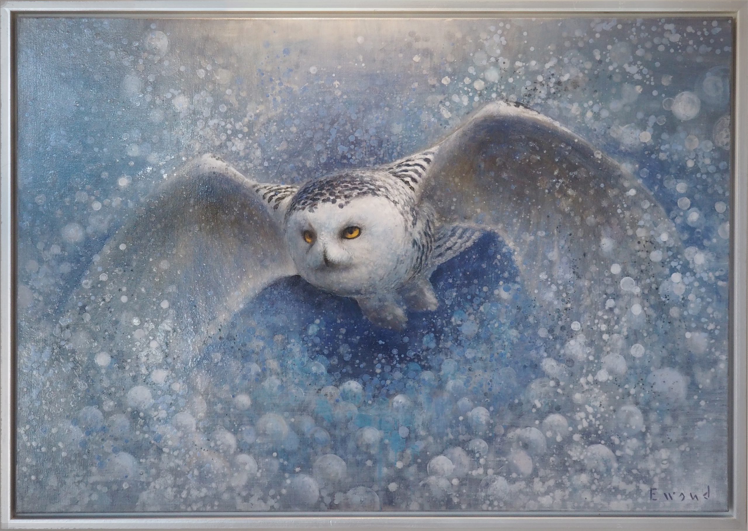 Ewoud de Groot - Snow Owl