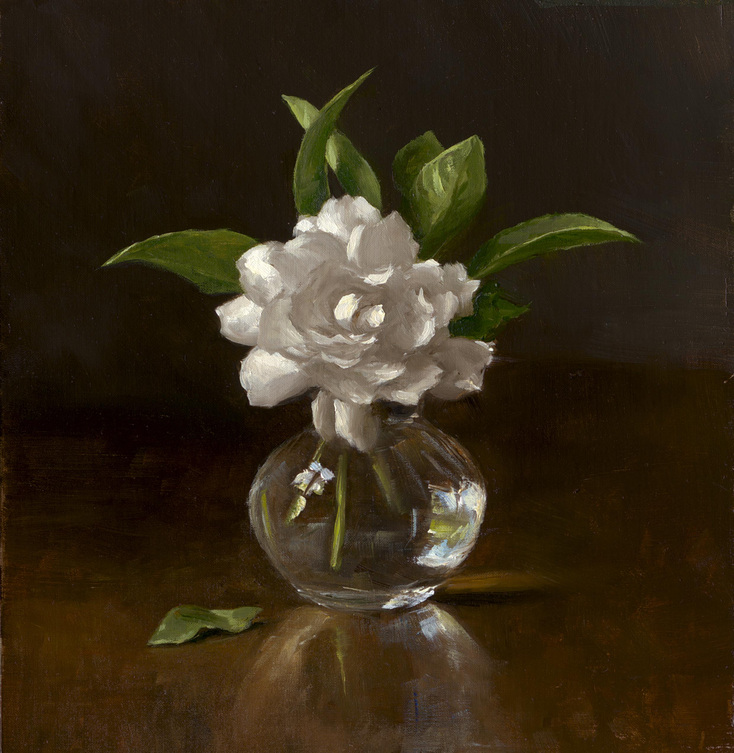 Sarah Lamb - Gardenia