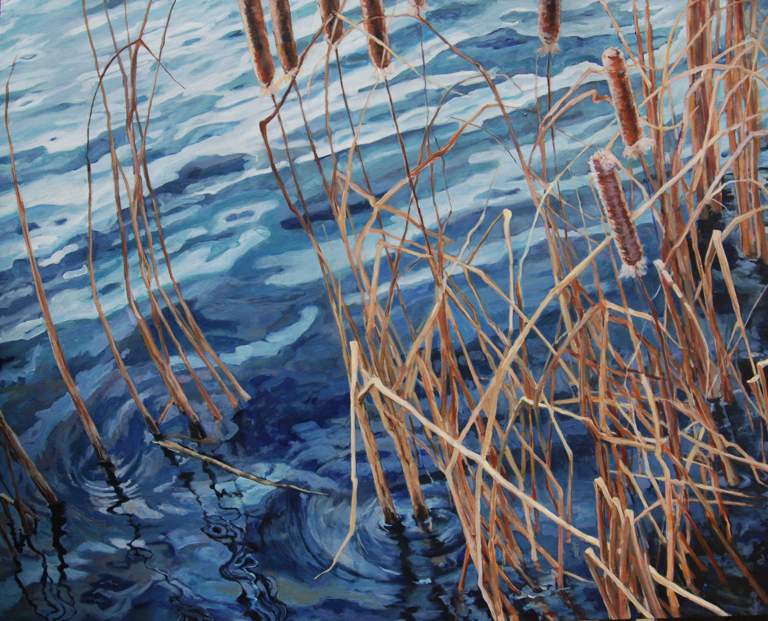 Heather Foster - Gila Cattails