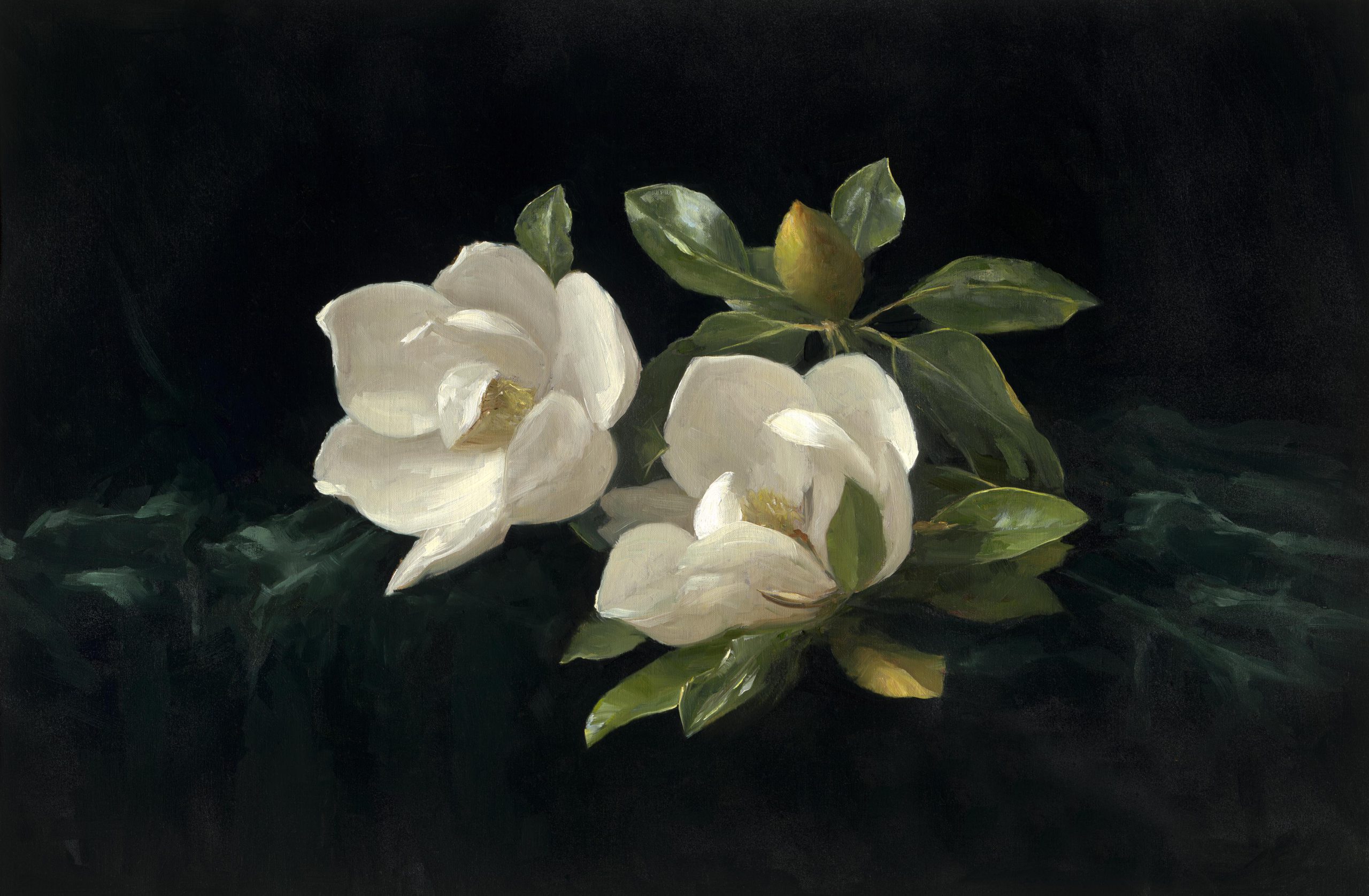 Sarah Lamb - Two Magnolias