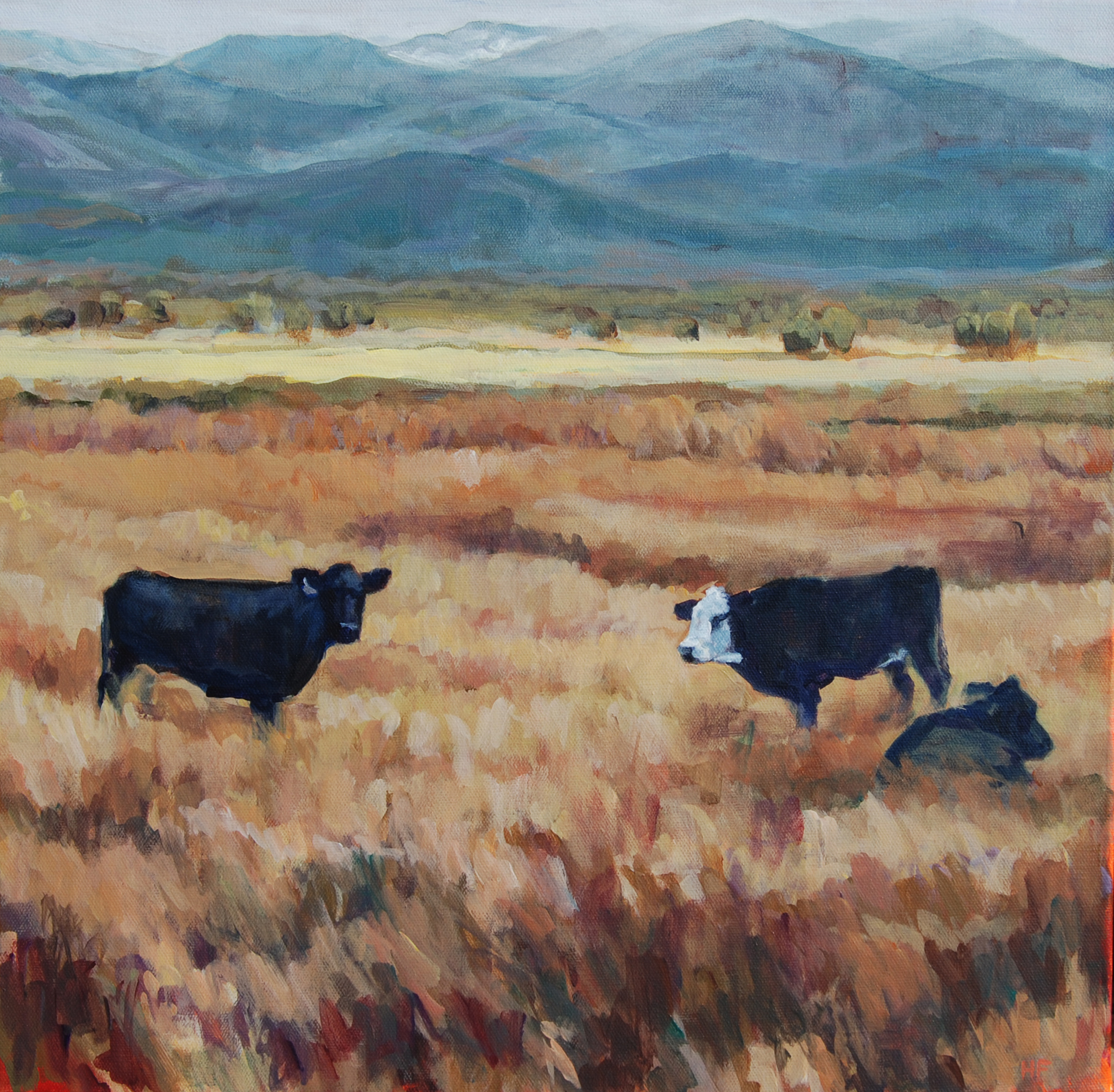 Heather Foster - Salida Three