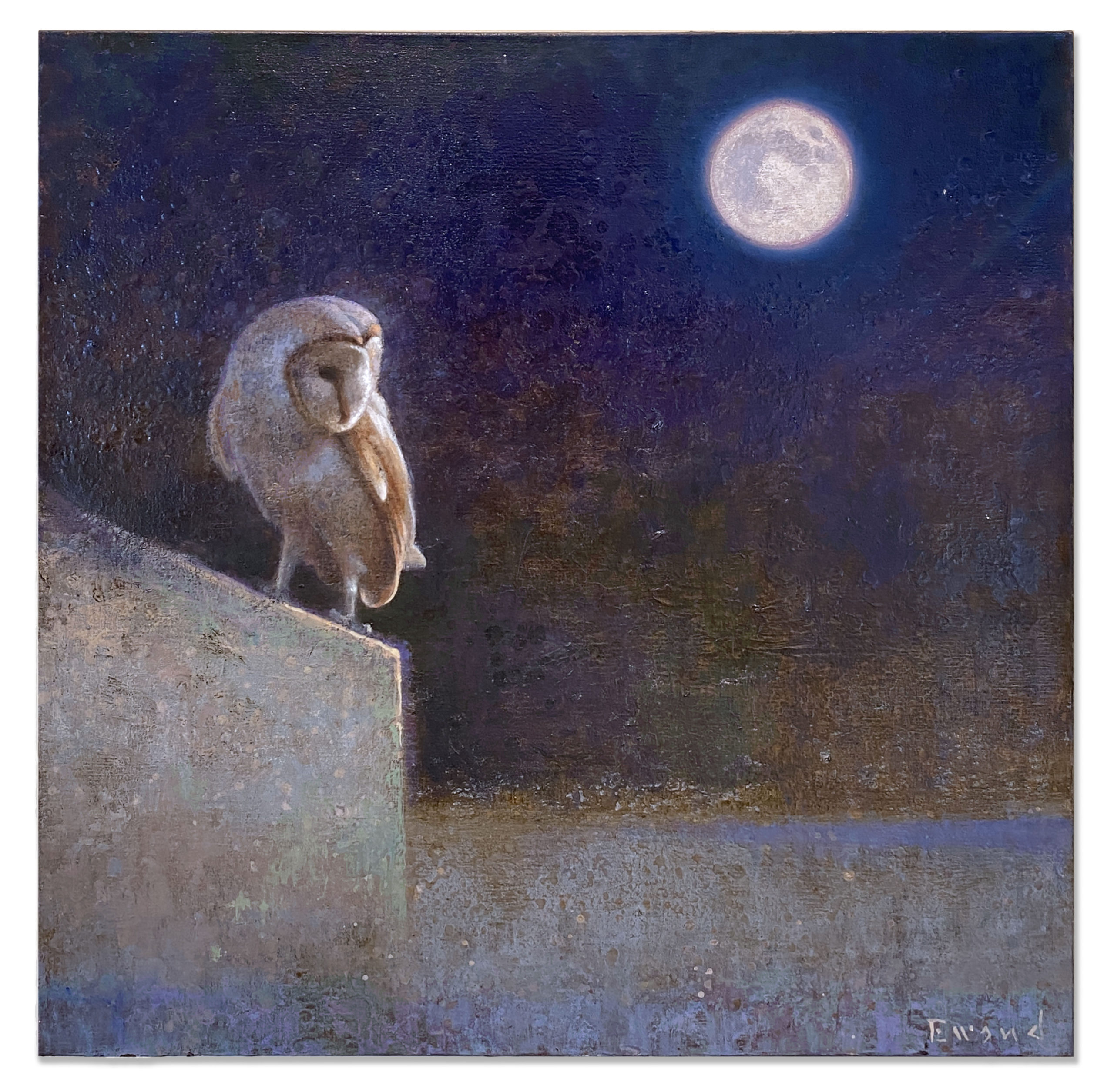 Ewoud de Groot - Barn Owl and Moon