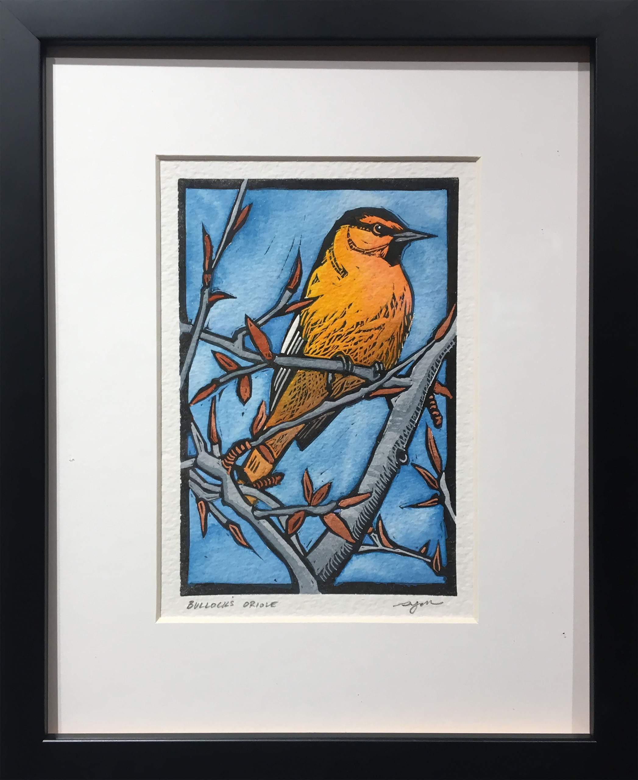 Sherrie York - Bullock's Oriole - 2