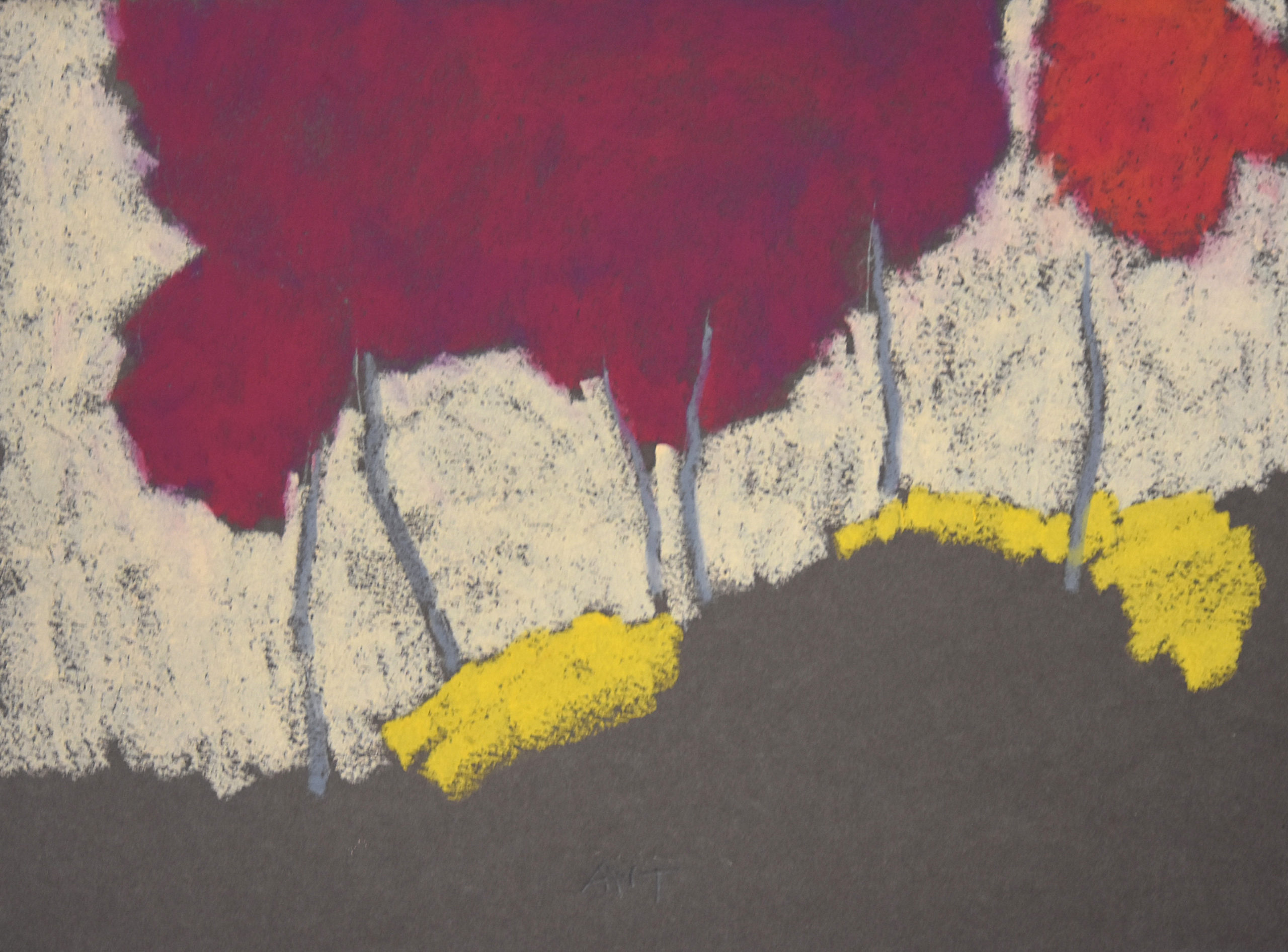 Andy Taylor oil pastel - DR-20016