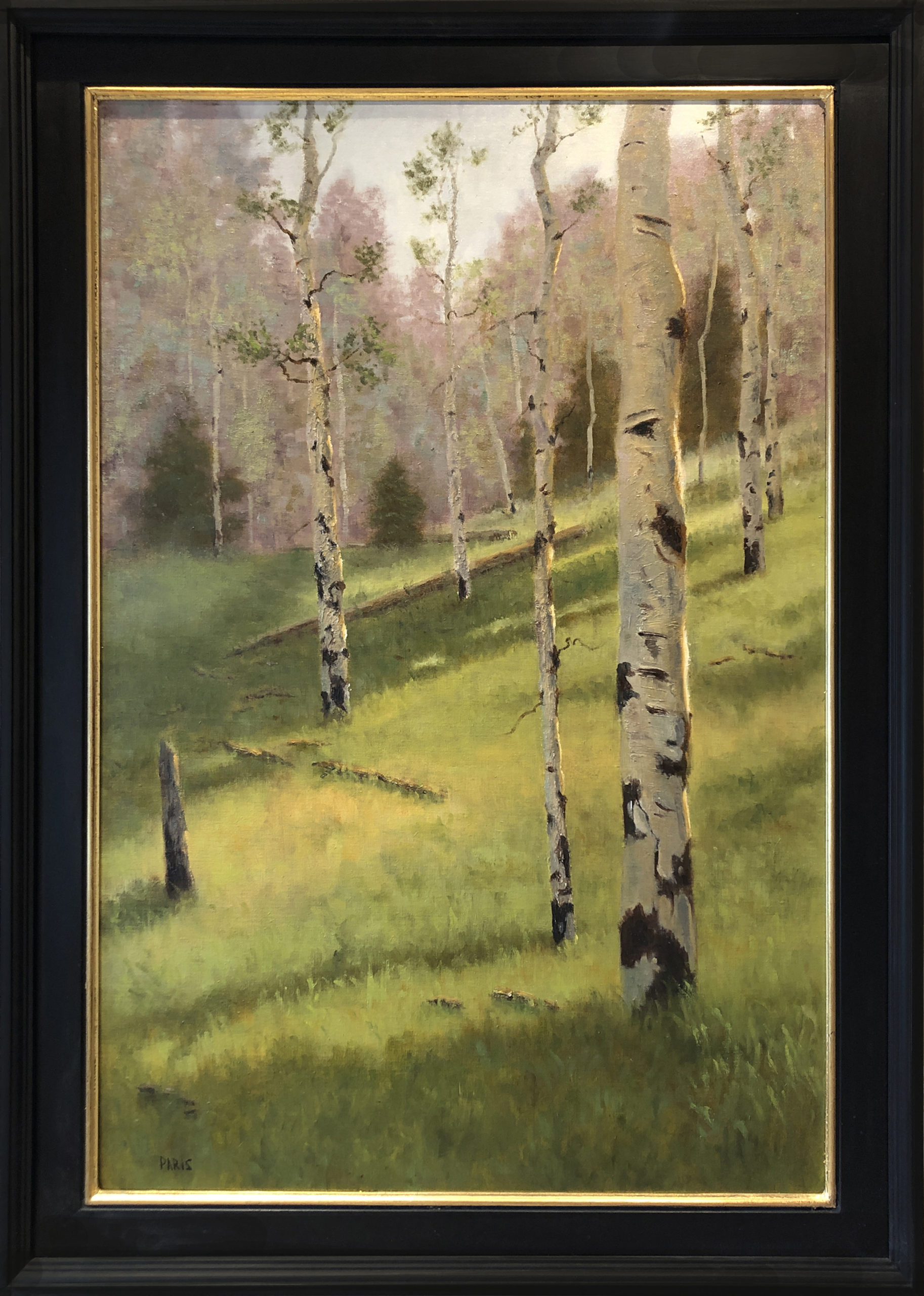 Deborah Paris - Hillside Aspens