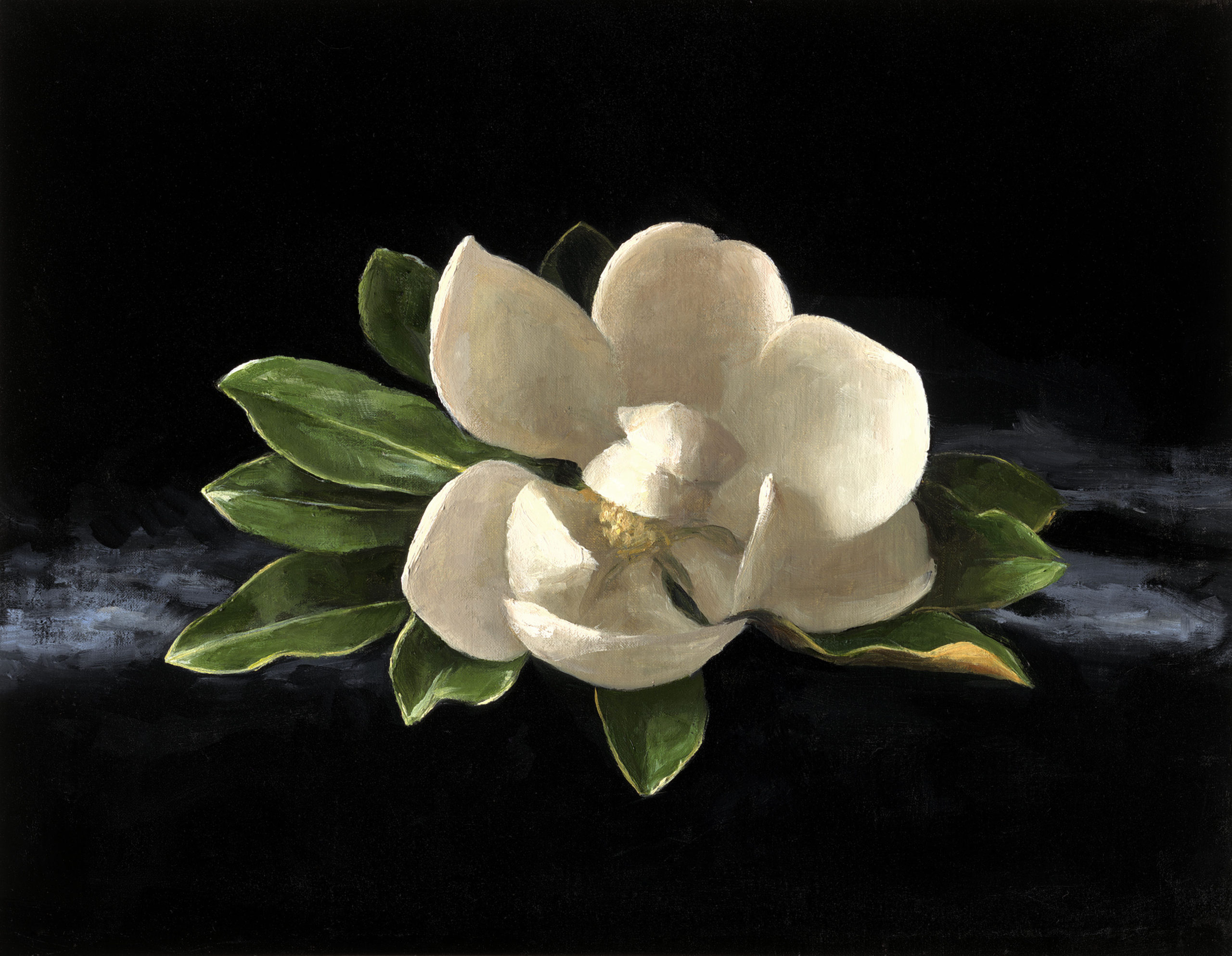 Sarah Lamb - Magnolia II