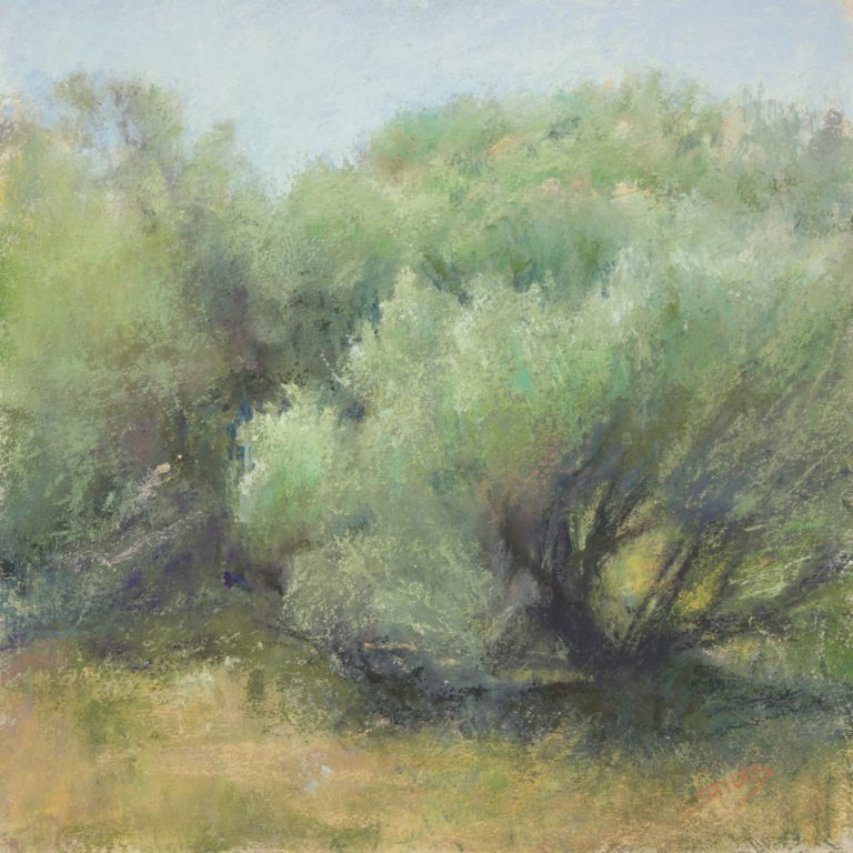 Sabrina Stiles - Rabbit Bush in Summer