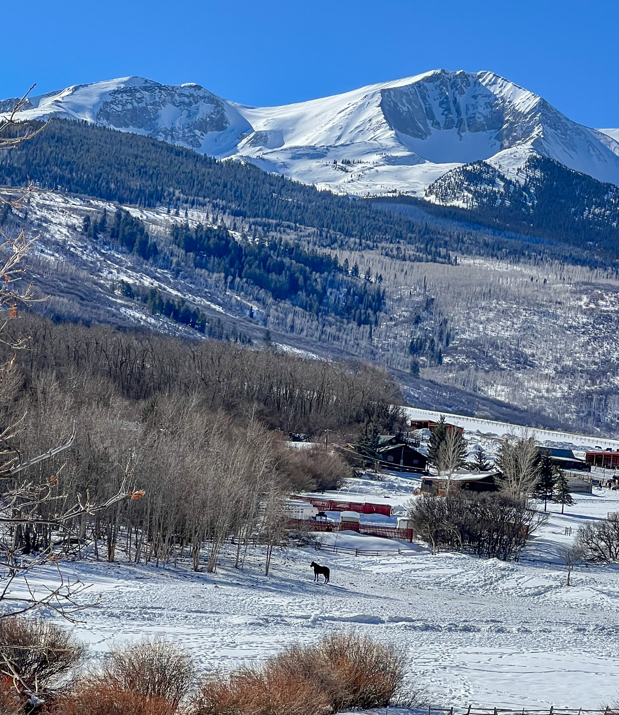 Tom Korologos - Home Alone at Sopris