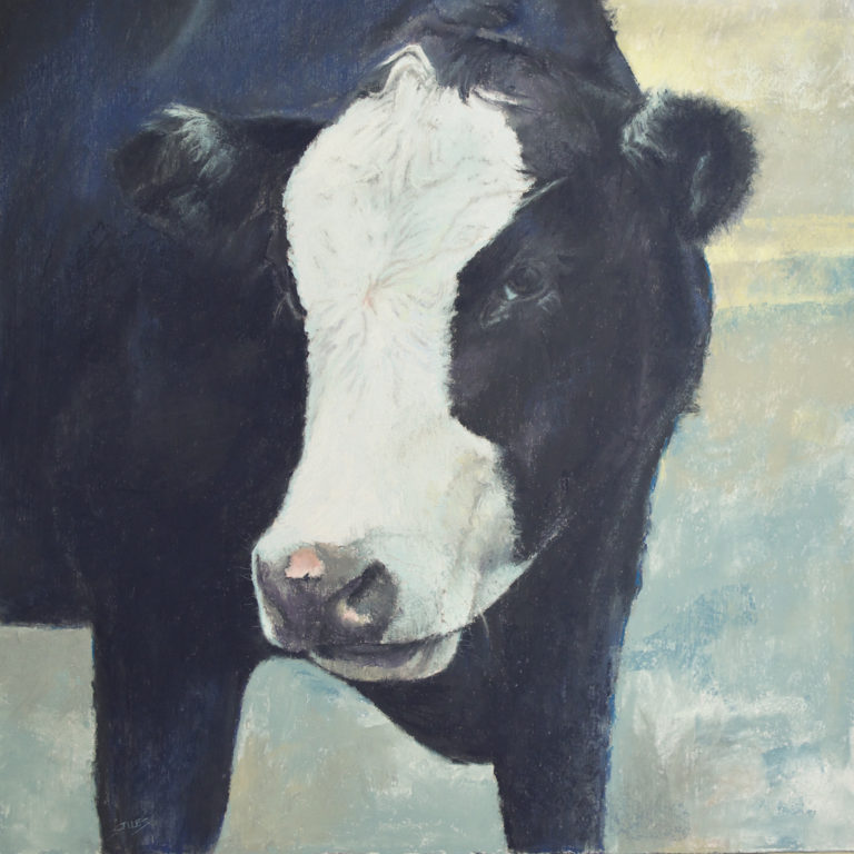 Sabrina Stiles - Coy Cow