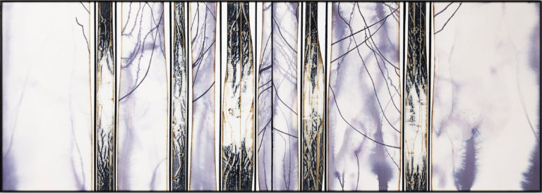 Michael Kessler - Focusfields (11) diptych