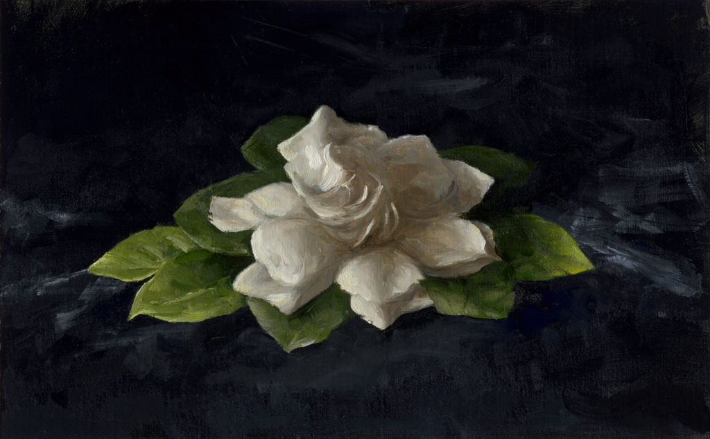 Sarah Lamb, Gardenia on Velvet art