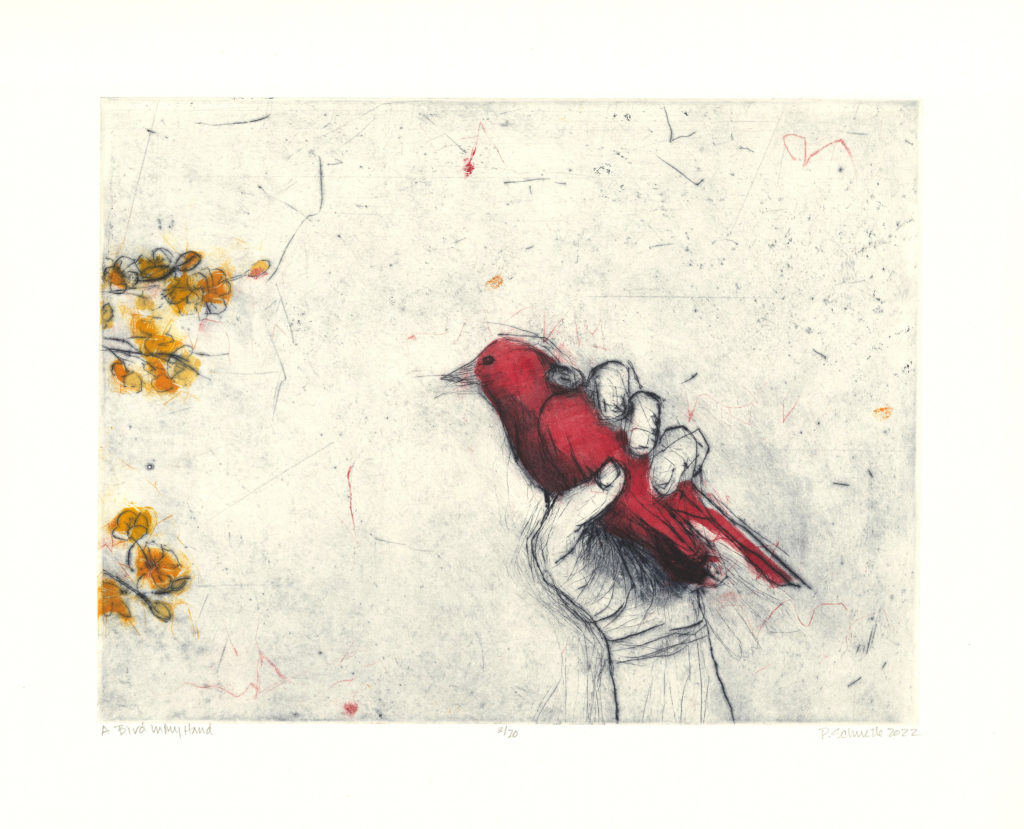 Paula Schuette Kraemer, A Bird in My Hand 4/20, UNF art