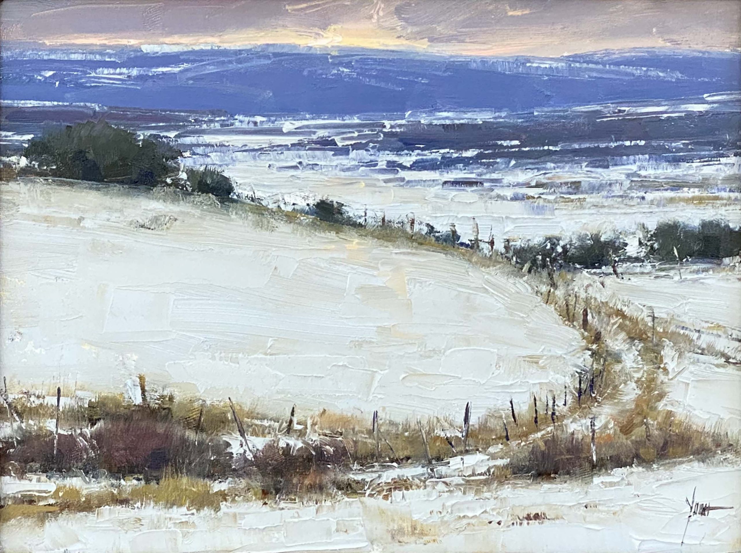 Dan Young - Winter Afield