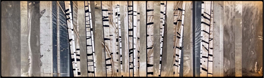 Michael Kessler, Birch on Birch (30) art