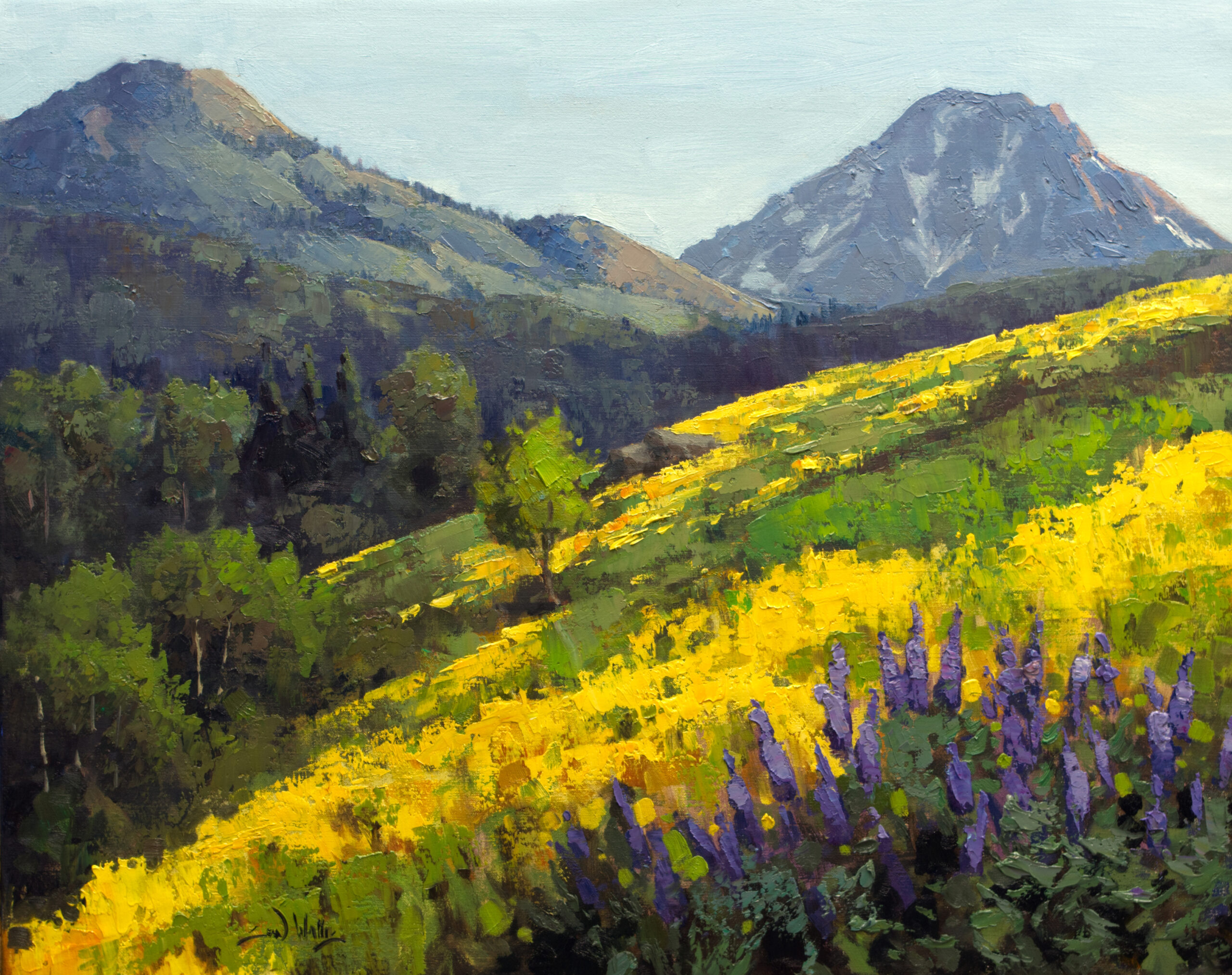 Sean Wallis - Wildflowers in Snowmass