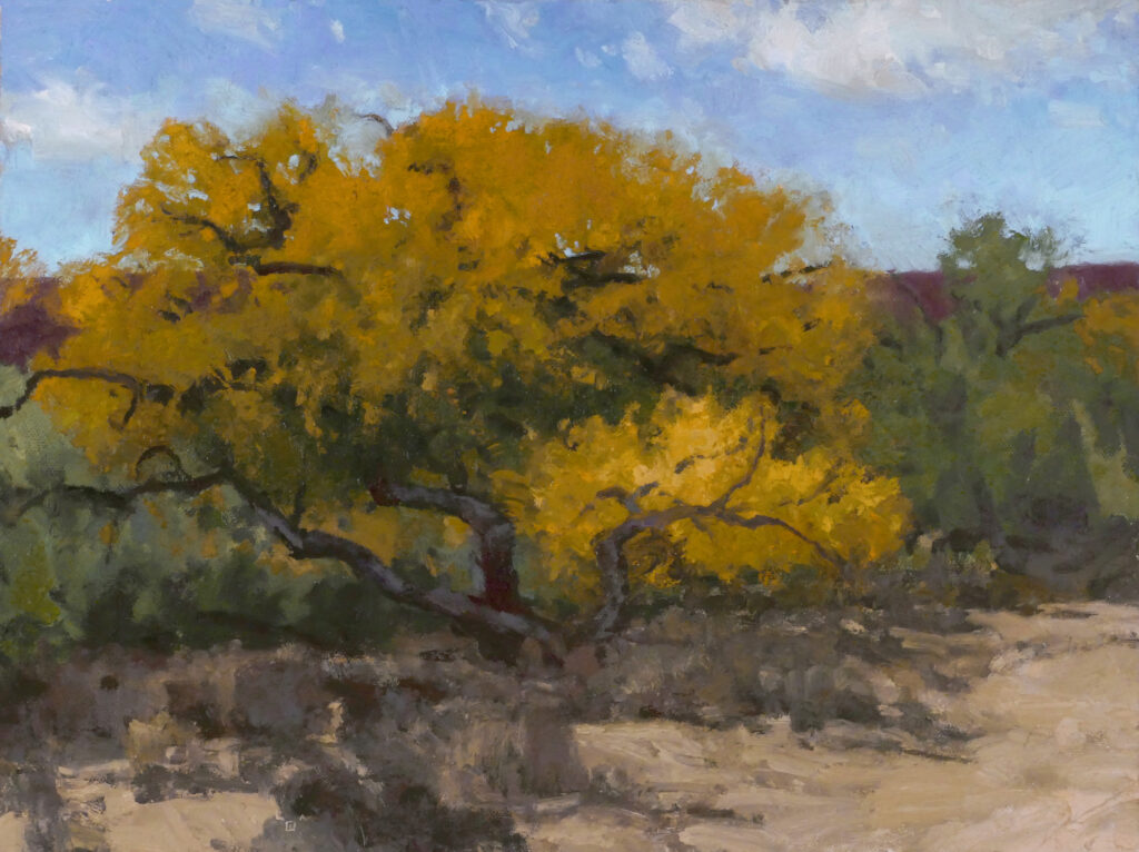 Len Chmiel, Fall, Dolores River art