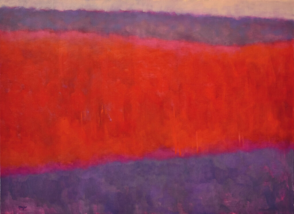 Andy Taylor, Chili art