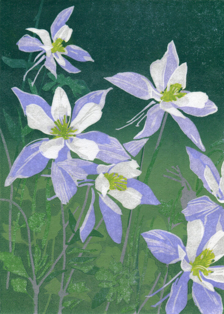 Sherrie York, Columbine, 17/40 art