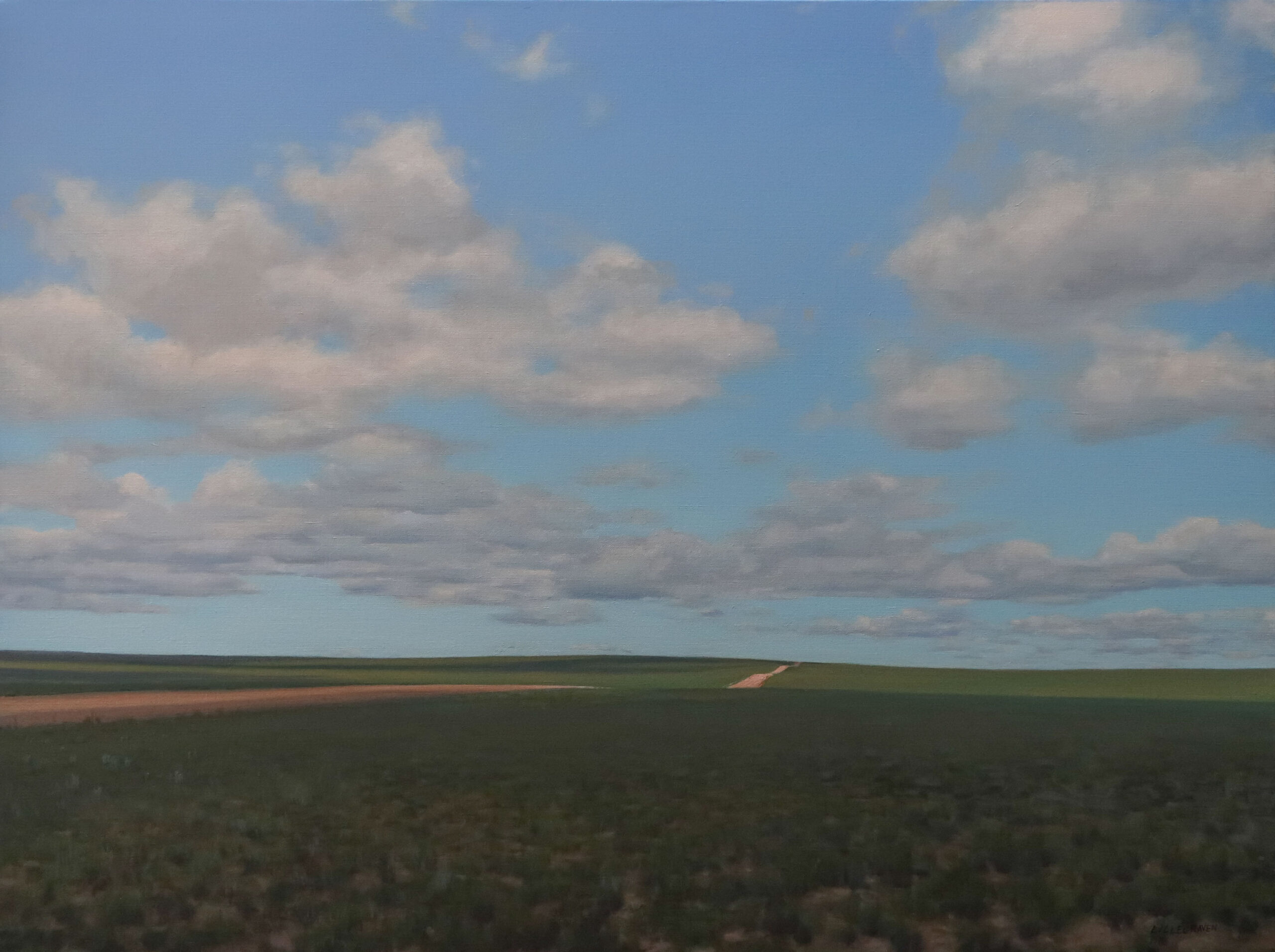 Linda Lillegraven - County Road 55