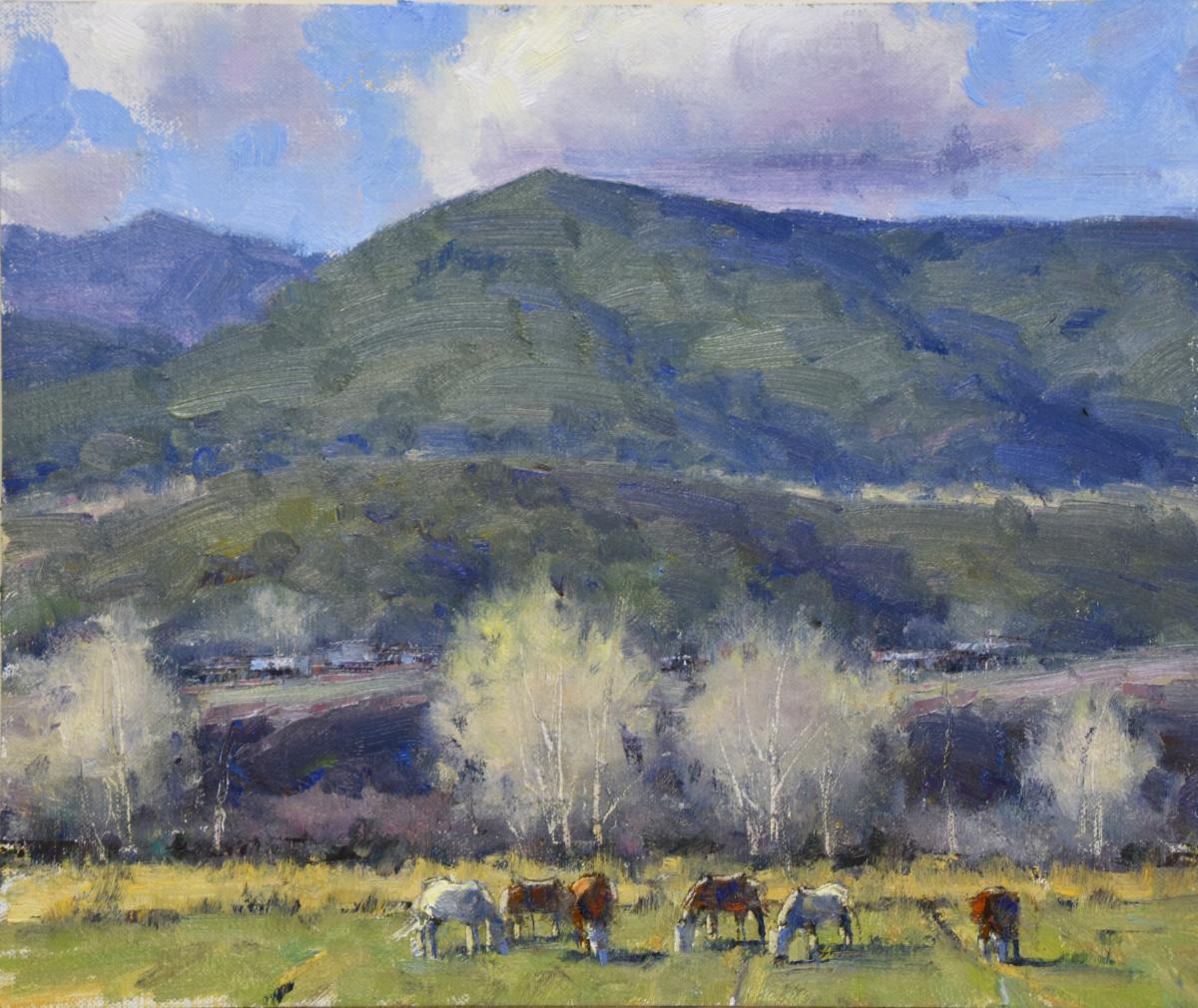 Dan Young - Down Valley Horses