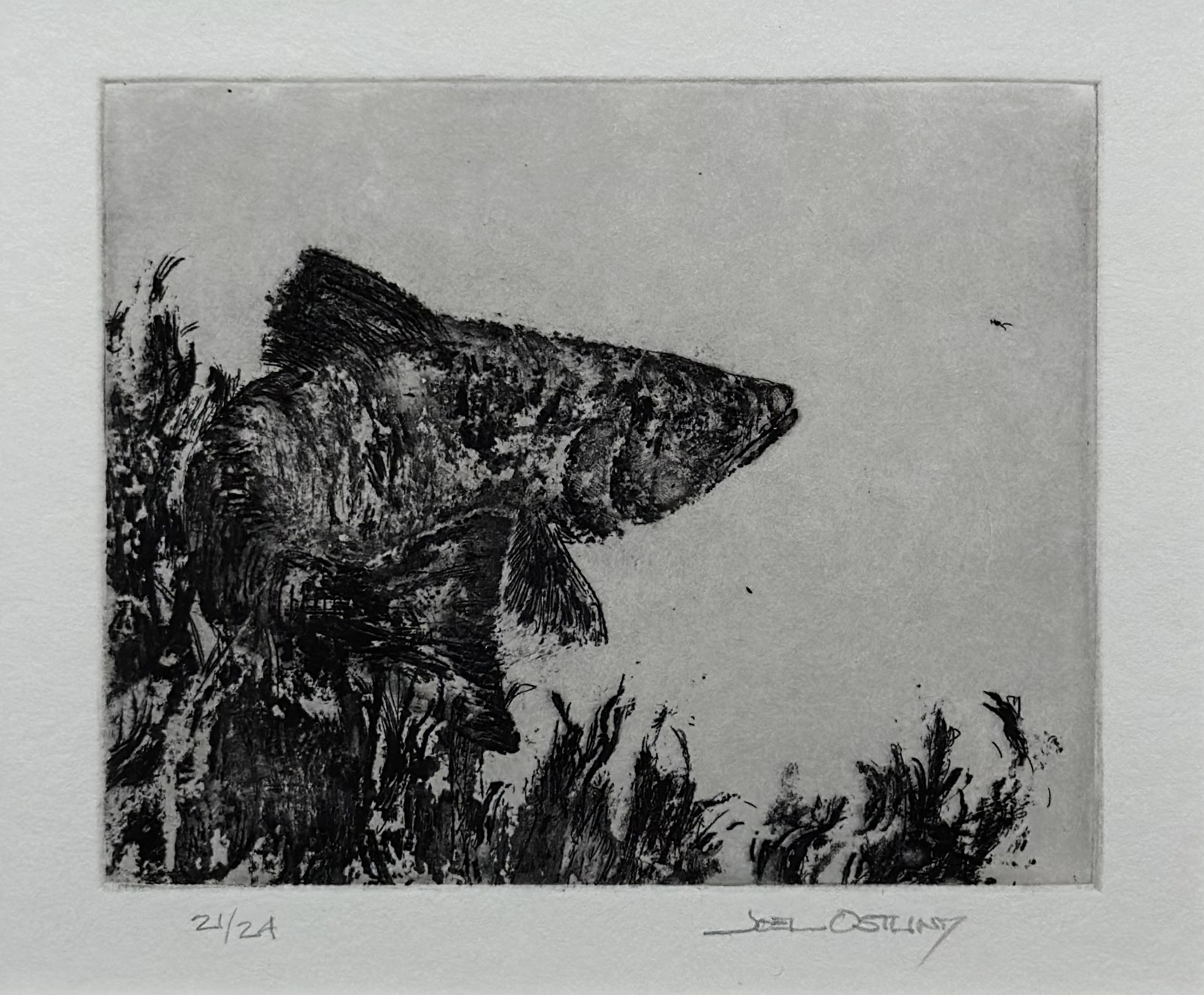 Joel Ostlind - The Trout Turns 21/24, 2022