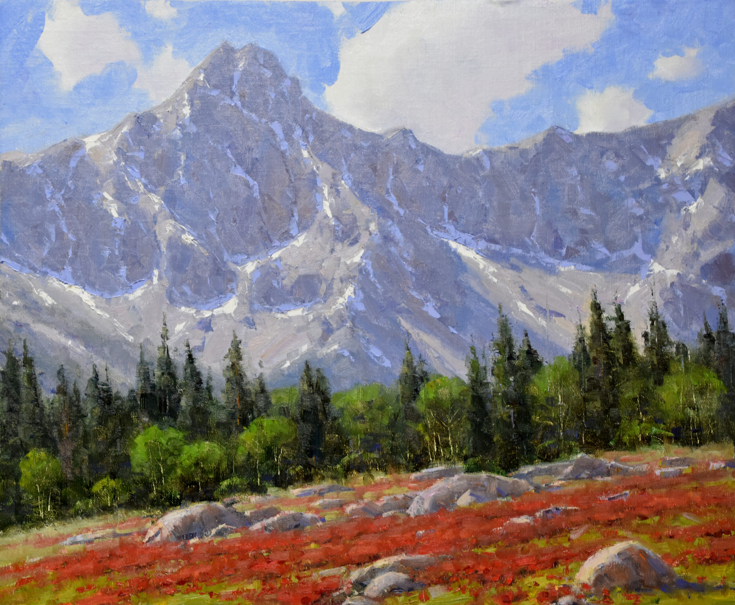 Dan Young - Blooming Up High