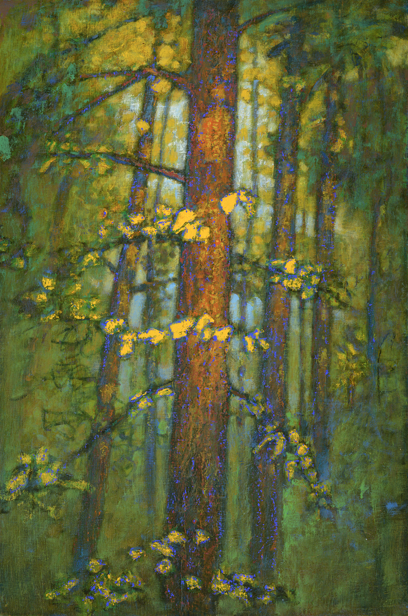 Rick Stevens - Calm Focus