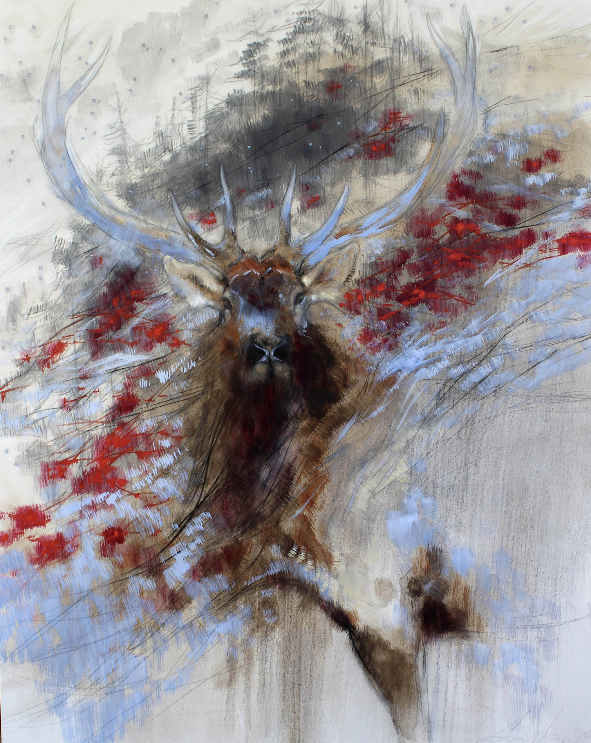 Amy Lay - Rocky Mountain King