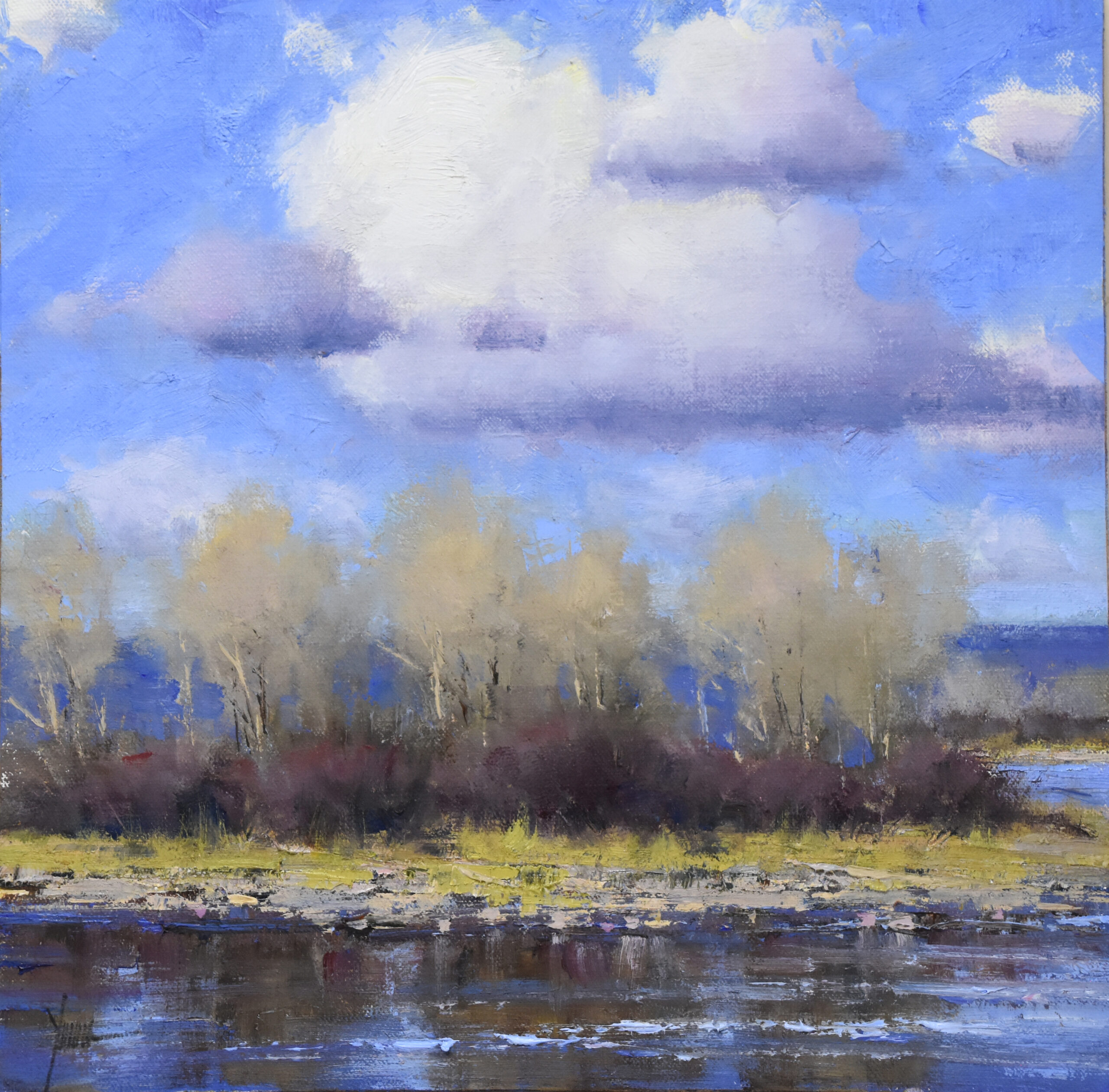 Dan Young - Spring on the Colorado
