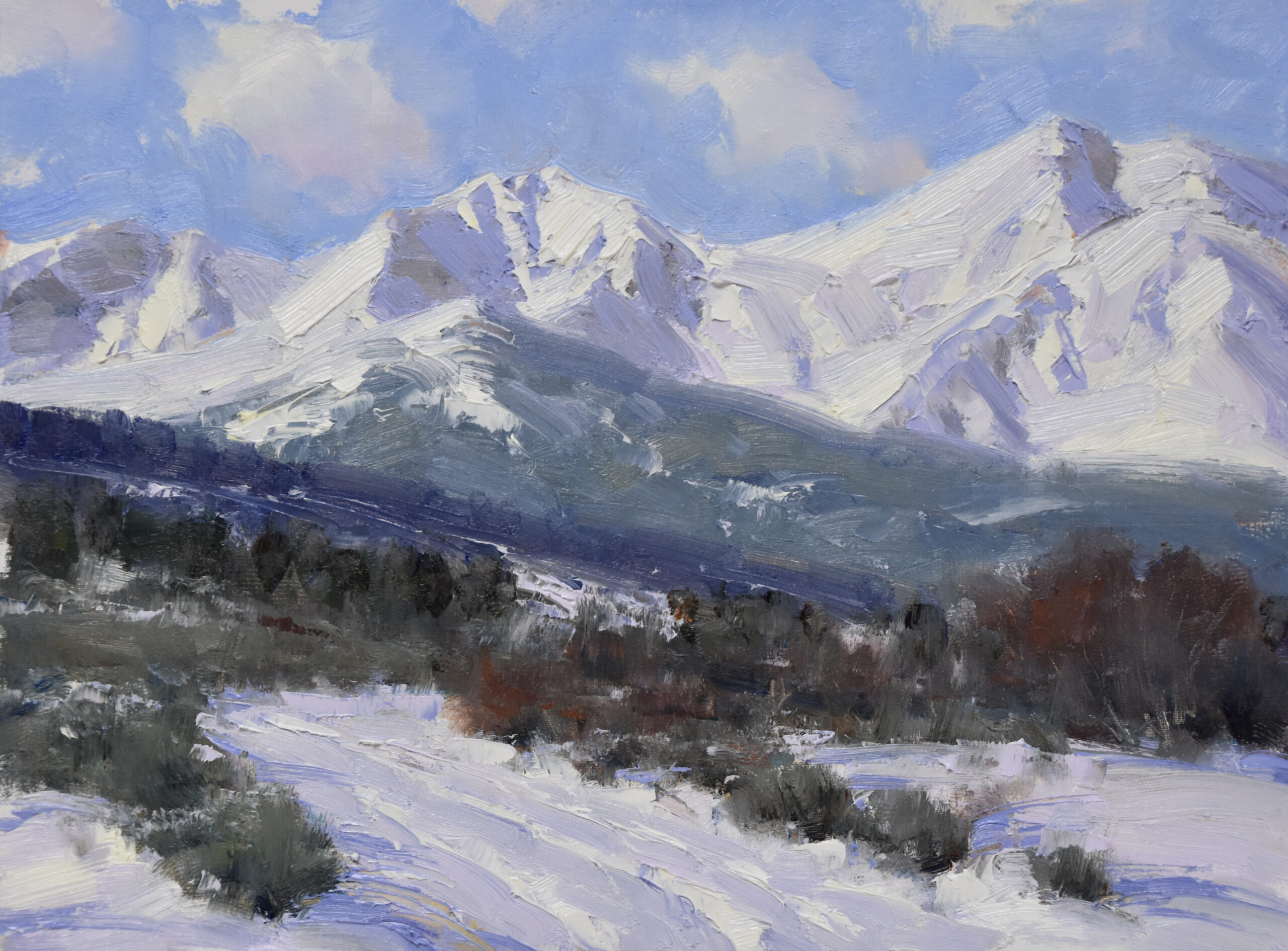 Dan Young - Tracks to Sopris