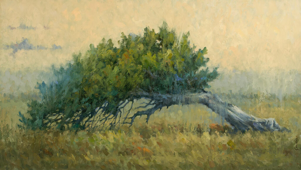 Terry Gardner, Resilience art