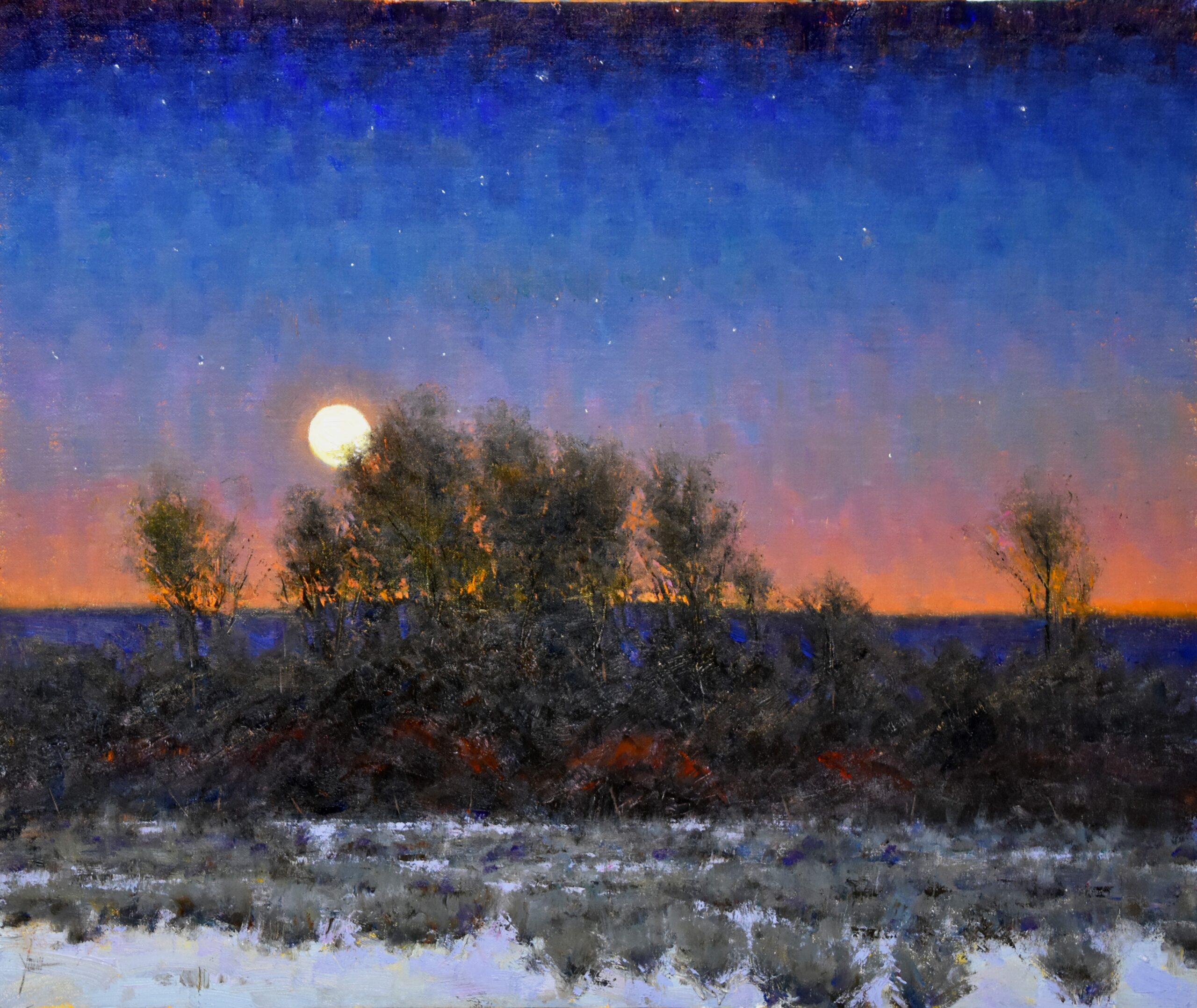 Dan Young - The Winter Moon
