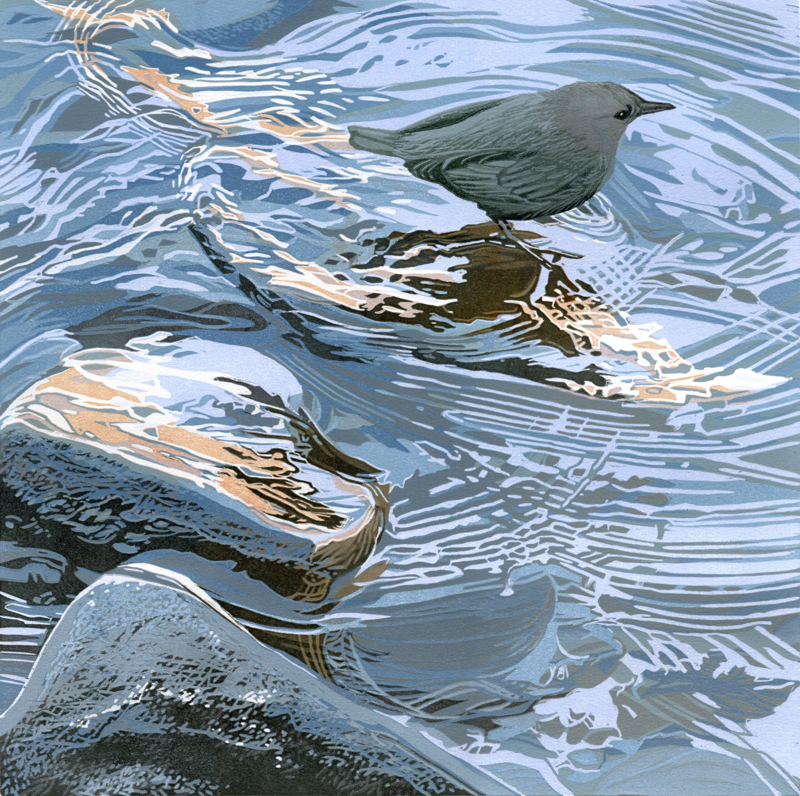 Sherrie York - Early Morning Dip 7/22