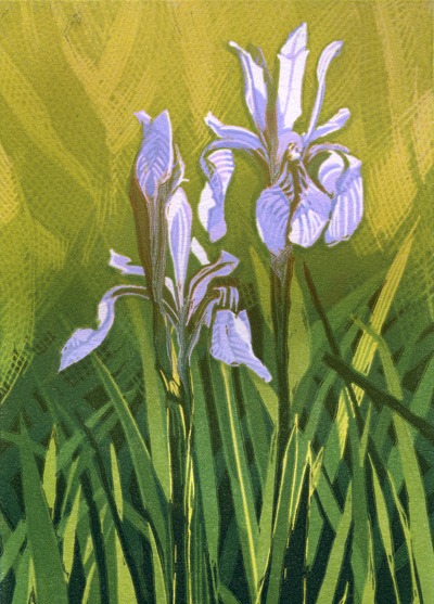 Sherrie York - Iris 1/25