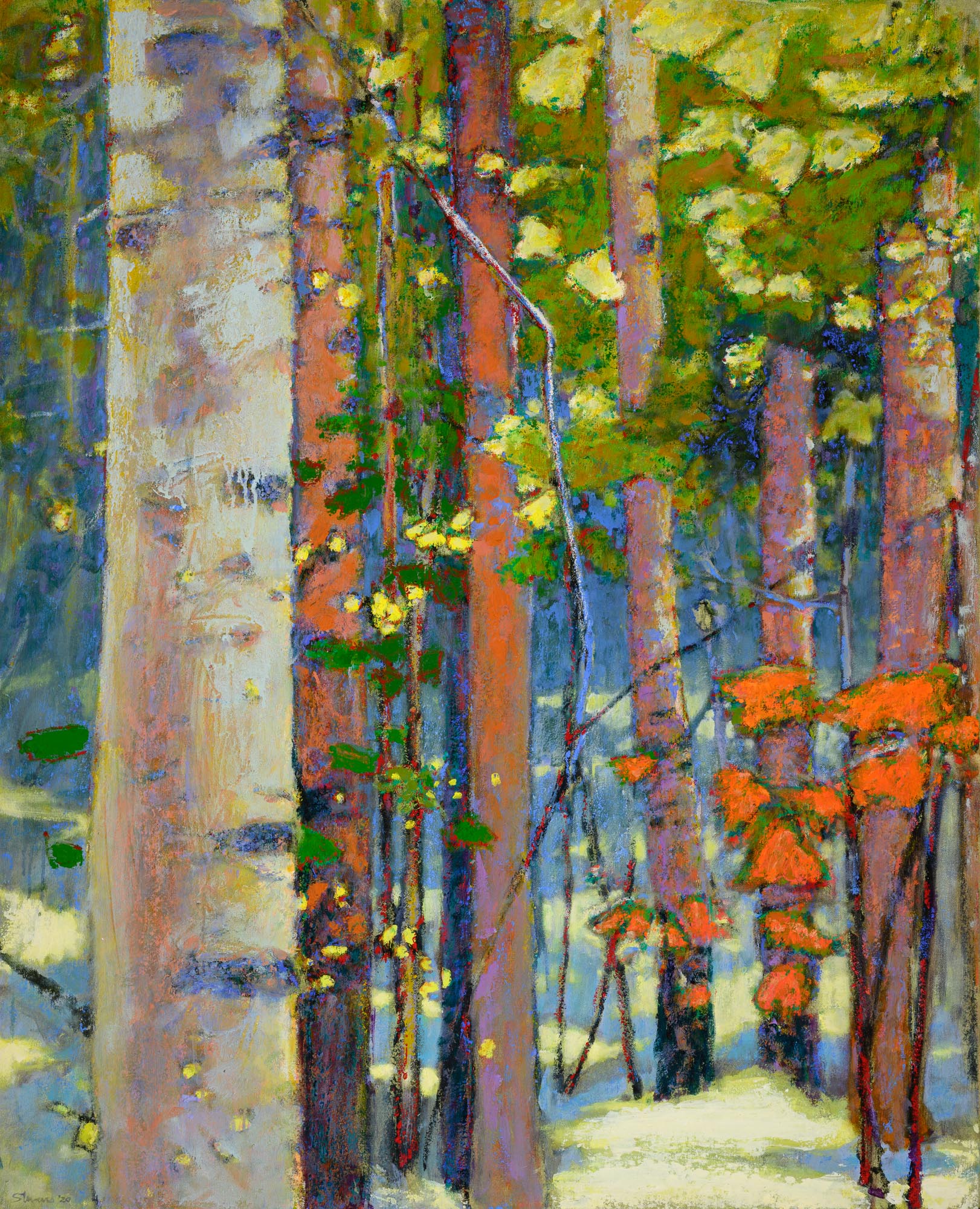 Rick Stevens - Snow in the Forest