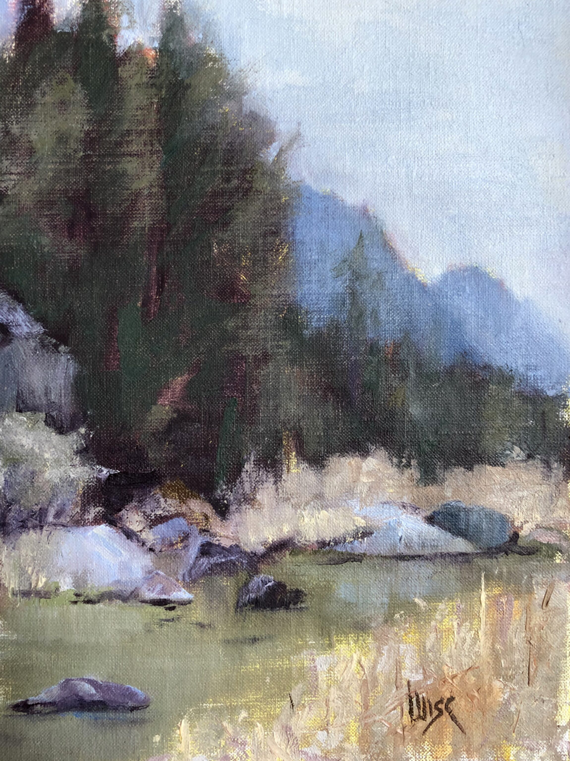 Marie Figge Wise - Stream 1
