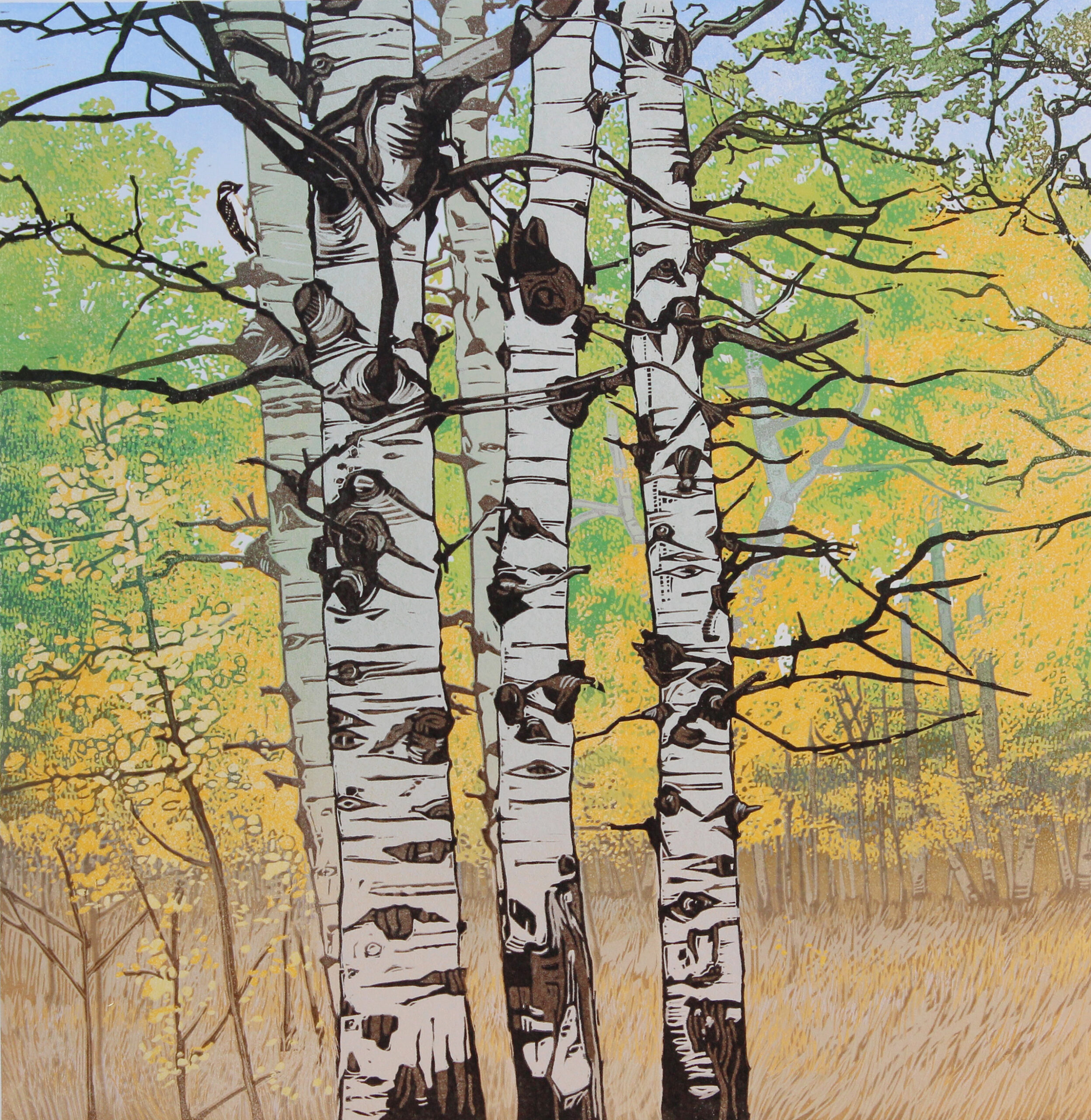 Sherrie York - Trunk Show 3/22