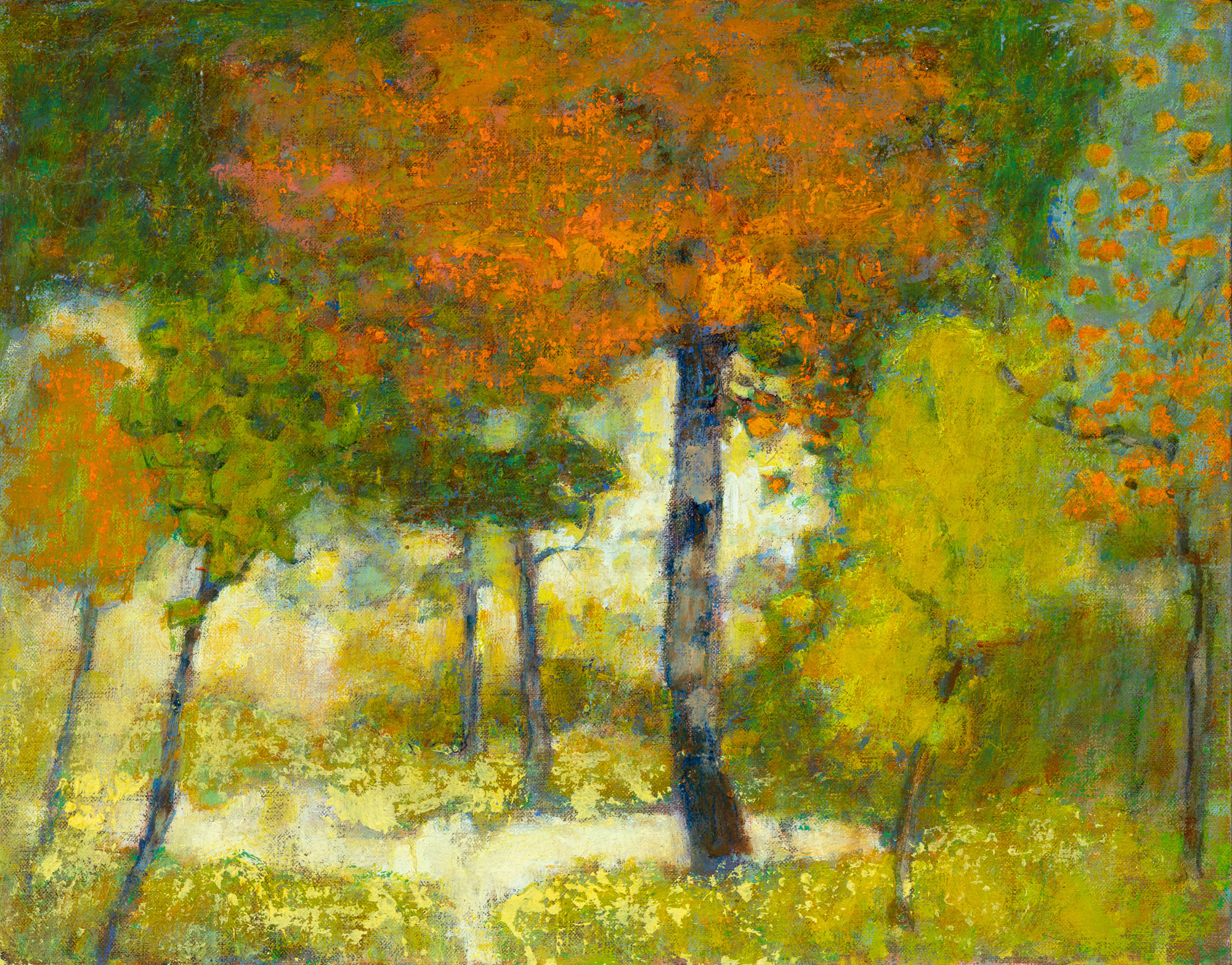 Rick Stevens - Awash in Light