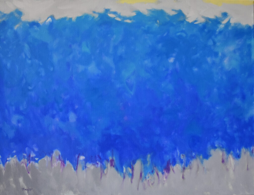 Andy Taylor, Hitch art