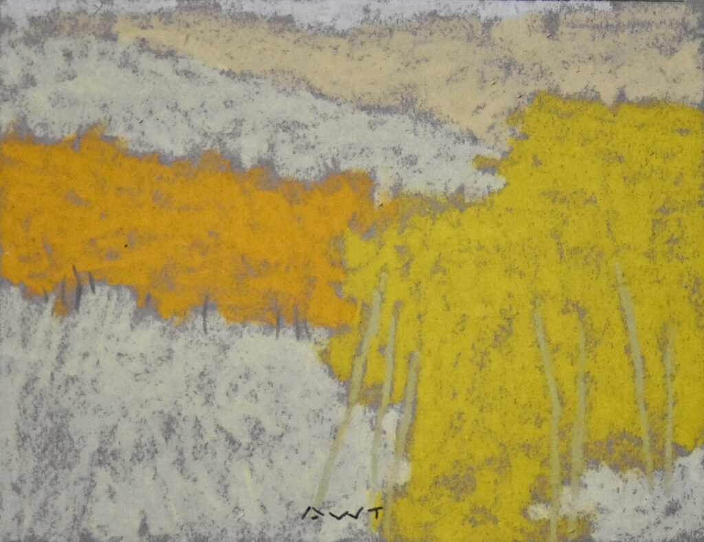 Andy Taylor, DR 23008 art